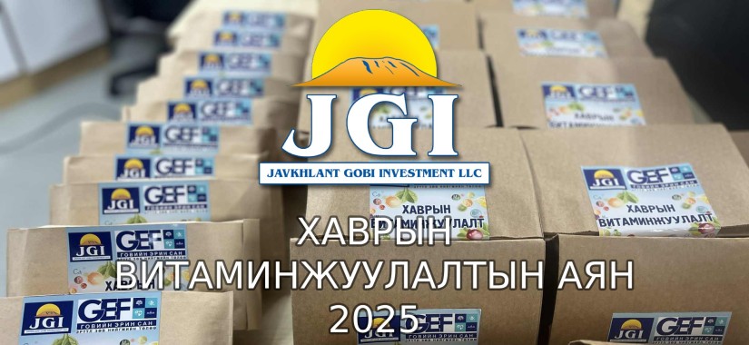 ВИТАМИНЖУУЛАЛТЫН АЯН 2025